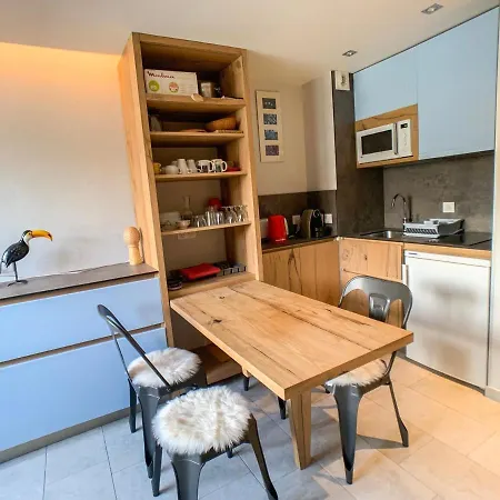 Au Pied Des Pistes, Animaux Acceptes - Fr-1-502-286 Apartment