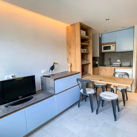 Au Pied Des Pistes, Animaux Acceptes - Fr-1-502-286 Apartment *